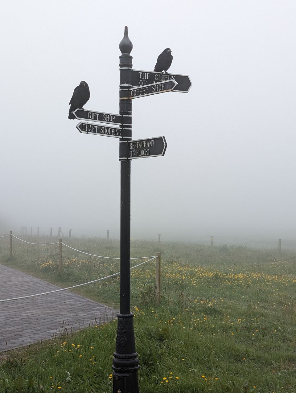 In dichten Nebel gehüllt steht hier ein Wegweiser an den Cliffs of Moher in Irland, auf dem zwei Vögel sitzen. Die Szene fängt einen Tag mit typisch irischem Wetter ein, an dem der dichte Nebel die berühmte Landschaft verhüllt und eine geheimnisvolle Atmosphäre schafft.