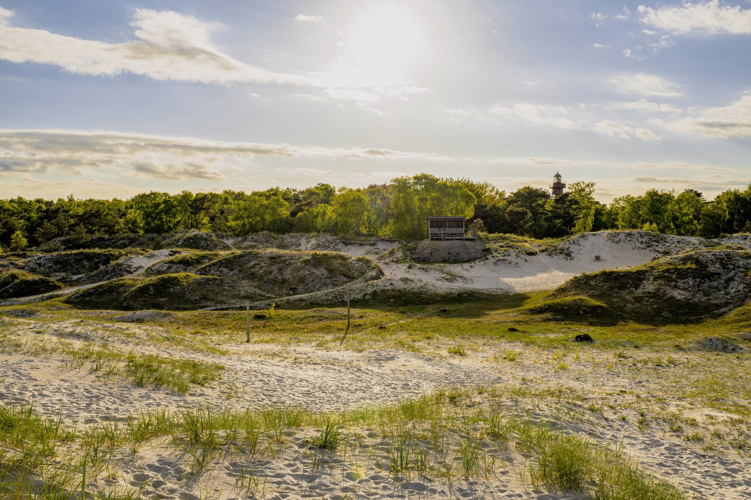 Sandhammaren eine Landschaft mit kleinen Hügeln welche teils mit Sand und teils mit Gras bedeckt sind.