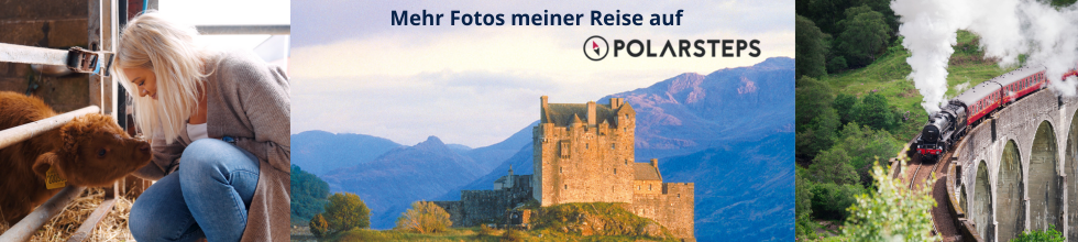 Eine Reise-Collage durch Schottland zeigt das ikonische Eilean Donan Castle in den Highlands, den berühmten Jacobite-Dampfzug auf dem Glenfinnan-Viadukt und die liebevolle Begegnung mit einem Highland-Kalb, was die Kultur und die magische Natur dieses Abenteuers widerspiegelt.